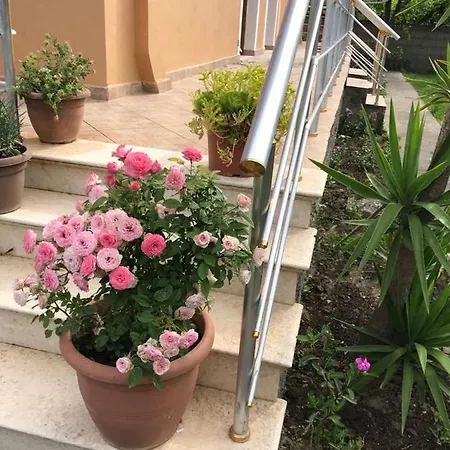 Restorant And Rooms Natyra Zvernec Vlore